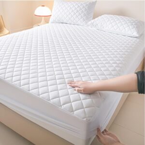 PAYHUIN Waterproof Mattress