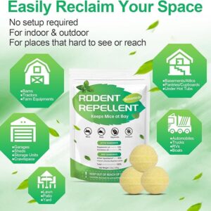 Qualihome Repellent for Car Engines