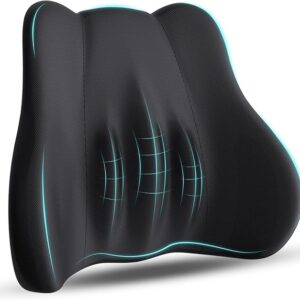 kasney Lumbar Support Pillow