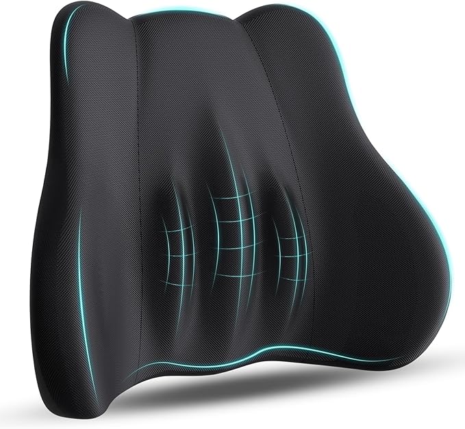kasney Lumbar Support Pillow