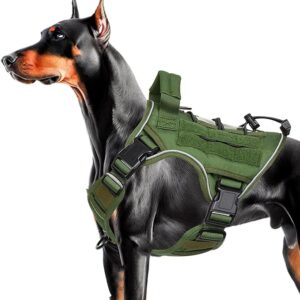 Bruvoalon K9 Military-Grade Control for Service Training