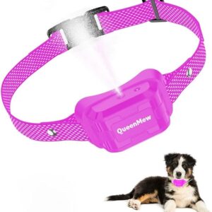 QueenMew Dog Collar