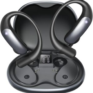 HAWQP Translation Earbuds