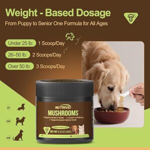 NUTRIVIO Organic Mushroom