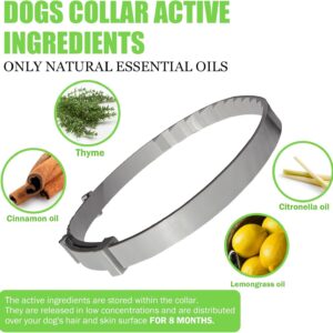 Leafloom Dog Collars Adjustable