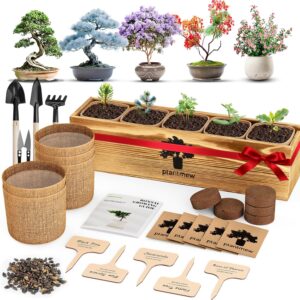 PLANTMEW 5 Pack Bonsai Tree Kit