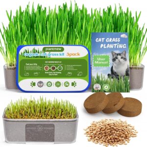 PLANTMEW Cat Grass Kit for Indoor Cats