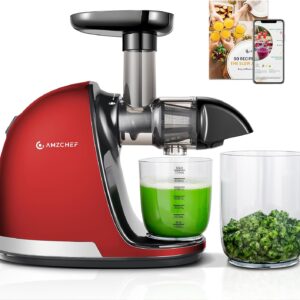 AMZCHEF Cold Press Juicer Machines