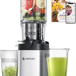 AMZCHEF Juicer with Two Snails
